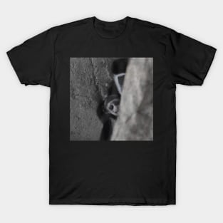 Colobus Monkey and baby T-Shirt